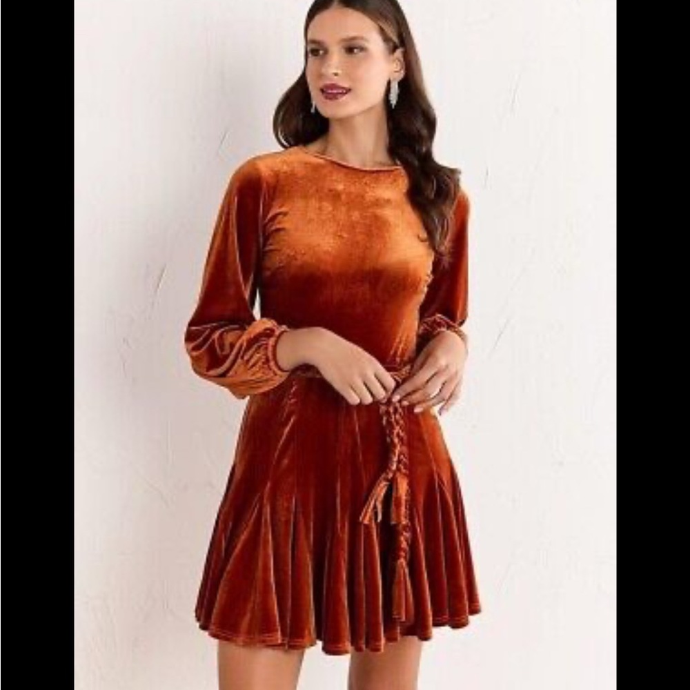 NWOT Lena Velvet Bishop Sleeve dress for Cocktail